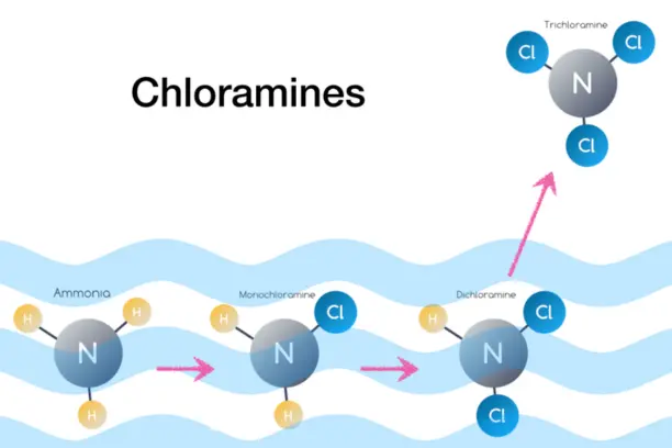 Chloramines